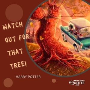 WATCH OUT FOR THAT TREE!