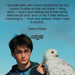 I accidentally set a boa constrictor on my cousin Dudley at the zoo once — long story — but it was telling me it had never seen Brazil and I sort of set it free without meaning to — that was before I knew I was a wizard...