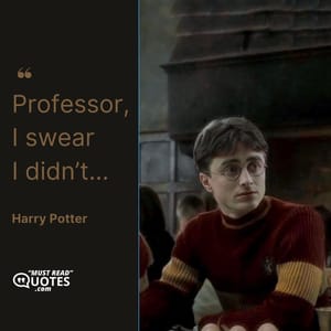 Professor, I swear I didn’t...