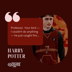 Professor. Your bird — I couldn’t do anything — he just caught fire...