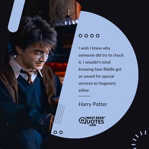 I wish I knew why someone did try to chuck it. I wouldn’t mind knowing how Riddle got an award for special services to Hogwarts either.