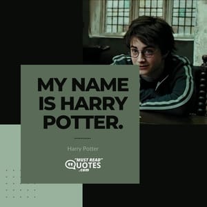 My name is Harry Potter.