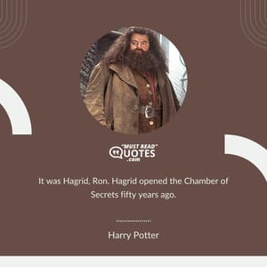 It was Hagrid, Ron. Hagrid opened the Chamber of Secrets fifty years ago.