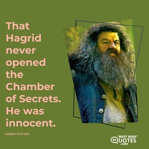 That Hagrid never opened the Chamber of Secrets. He was innocent.