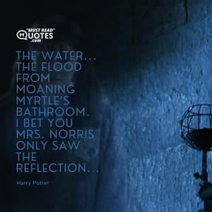 The water... The flood from Moaning Myrtle’s bathroom. I bet you Mrs. Norris only saw the reflection...