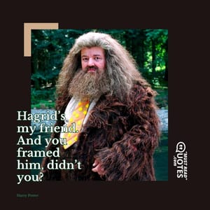 Hagrid’s my friend. And you framed him, didn’t you?