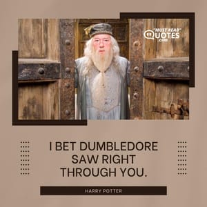 I bet Dumbledore saw right through you.