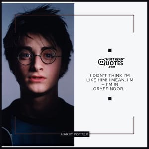 I don’t think I’m like him! I mean, I’m — I’m in Gryffindor...