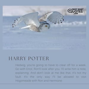 Hedwig, you’re going to have to clear off for a week. Go with Errol. Ron’ll look after you. I’ll write him a note, explaining. And don’t look at me like that, it’s not my fault. It’s the only way I’ll be allowed to visit Hogsmeade with Ron and Hermione.