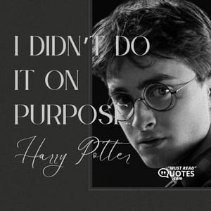 I didn’t do it on purpose.
