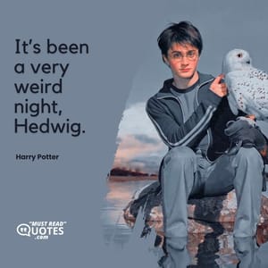 It’s been a very weird night, Hedwig.