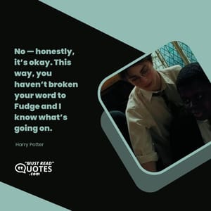No — honestly, it’s okay. This way, you haven’t broken your word to Fudge and I know what’s going on.