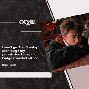 I can’t go. The Dursleys didn’t sign my permission form, and Fudge wouldn’t either.