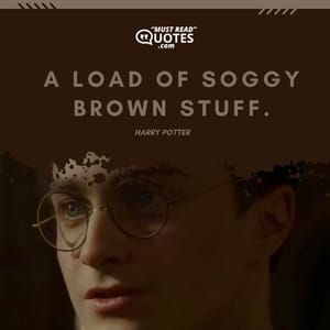 A load of soggy brown stuff.
