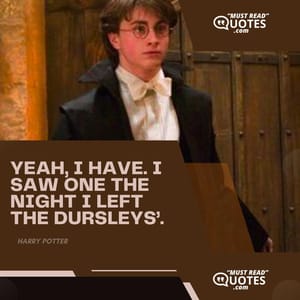 Yeah, I have. I saw one the night I left the Dursleys’.