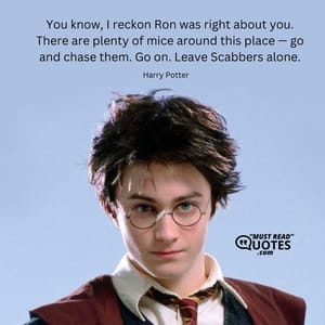 You know, I reckon Ron was right about you. There are plenty of mice around this place — go and chase them. Go on. Leave Scabbers alone.