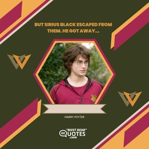 But Sirius Black escaped from them. He got away...