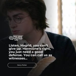 Listen, Hagrid, you can’t give up. Hermione’s right, you just need a good defense. You can call us as witnesses...