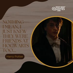 Nothing — I mean, I just knew they were friends at Hogwarts too...