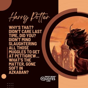 Why’s that? Didn’t care last time, did you? Didn’t mind slaughtering all those Muggles to get at Pettigrew... What’s the matter, gone soft in Azkaban?