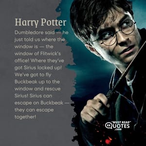 Dumbledore said — he just told us where the window is — the window of Flitwick’s office! Where they’ve got Sirius locked up! We’ve got to fly Buckbeak up to the window and rescue Sirius! Sirius can escape on Buckbeak — they can escape together!