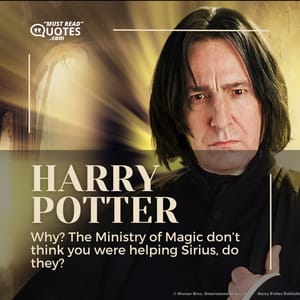 Why? The Ministry of Magic don’t think you were helping Sirius, do they?