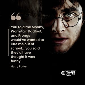 You told me Moony, Wormtail, Padfoot, and Prongs would’ve wanted to lure me out of school... you said they’d have thought it was funny.