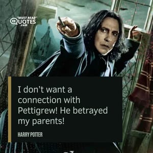 I don’t want a connection with Pettigrew! He betrayed my parents!