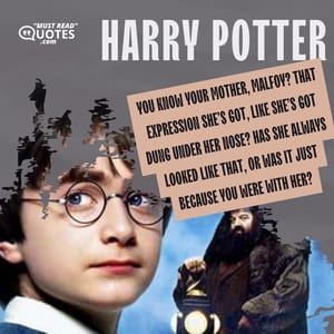 You know your mother, Malfoy? That expression she’s got, like she’s got dung under her nose? Has she always looked like that, or was it just because you were with her?
