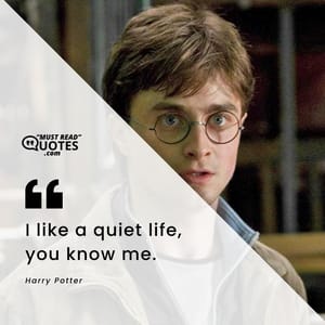 I like a quiet life, you know me.