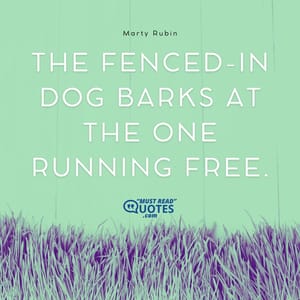 The fenced-in dog barks at the one running free.