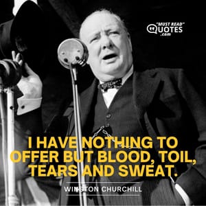 I have nothing to offer but blood, toil, tears and sweat.