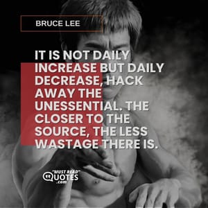 It is not daily increase but daily decrease, hack away the unessential. The closer to the source, the less wastage there is.