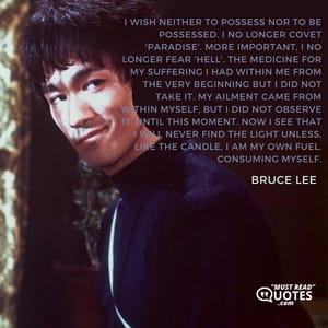 I wish neither to possess nor to be possessed. I no longer covet 'paradise'. More important, I no longer fear 'hell'. The medicine for my suffering I had within me from the very beginning but I did not take it. My ailment came from within myself, but I did not observe it, until this moment. Now I see that I will never find the light unless, like the candle, I am my own fuel, consuming myself.