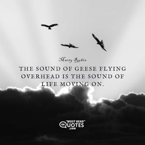 The sound of geese flying overhead is the sound of life moving on.