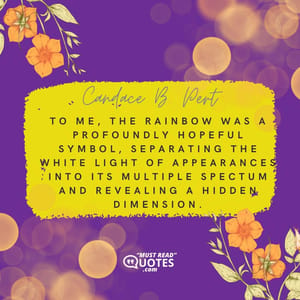 To me, the rainbow was a profoundly hopeful symbol, separating the white light of appearances into its multiple spectum and revealing a hidden dimension.