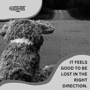 It feels good to be lost in the right direction.