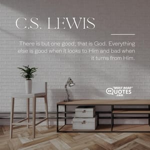 There is but one good; that is God. Everything else is good when it looks to Him and bad when it turns from Him.