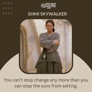 You can’t stop change any more than you can stop the suns from setting.