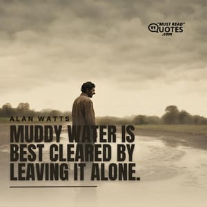 Muddy water is best cleared by leaving it alone.