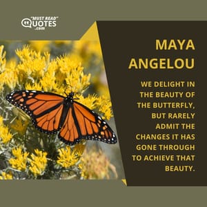 We delight in the beauty of the butterfly, but rarely admit the changes it has gone through to achieve that beauty.