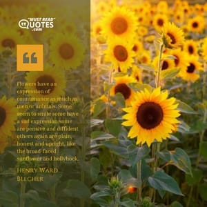 Flowers have an expression of countenance as much as men or animals. Some seem to smile some have a sad expression some are pensive and diffident others again are plain, honest and upright, like the broad-faced sunflower and hollyhock.