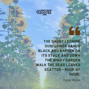 The gaudy leonine sunflower hangs black and barren on its stalk and down the windy garden walk the dead leaves scatter – hour by hour.