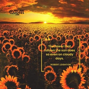 The flower that follows the sun does so even on cloudy days.