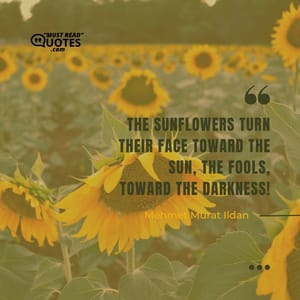 The sunflowers turn their face toward the Sun, the fools, toward the darkness!