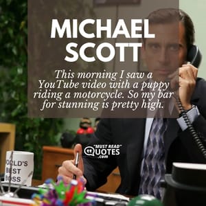 This morning I saw a YouTube video with a puppy riding a motorcycle. So my bar for stunning is pretty high.