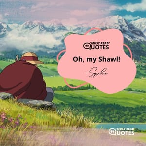 Oh, my Shawl!