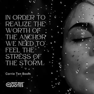 In order to realize the worth of the anchor we need to feel the stress of the storm.