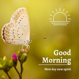 Good Morning! Always thrive on being the best version of yourself through strong will and compassion!