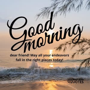 Good Morning, dear friend! May all your endeavors fall in the right places today!